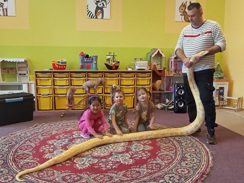 Zvířátka v MŠ